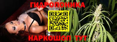 гашик Кимры