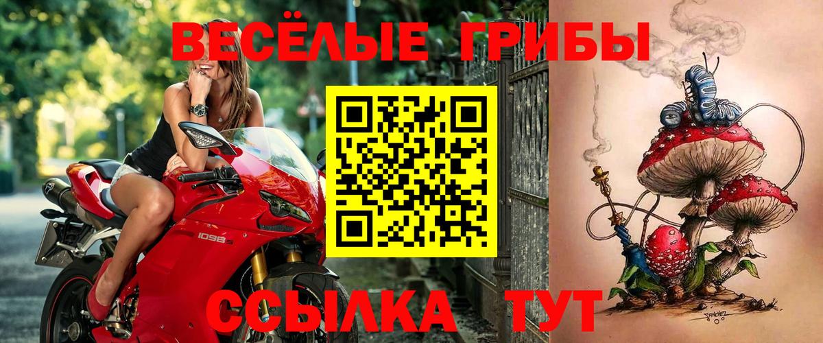 Галлюциногенные грибы GOLDEN TEACHER Комсомольск-на-Амуре