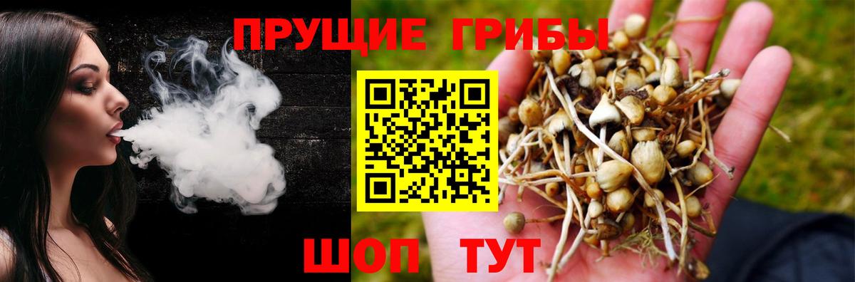 Галлюциногенные грибы Psilocybe  Вход с VPN  Комсомольск-на-Амуре 
